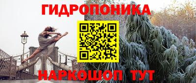 стафф Заводоуковск