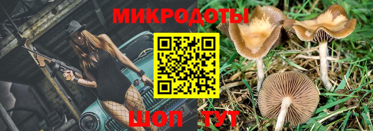 Медногорск  Псилоцибиновые грибы GOLDEN TEACHER  Вход с VPN 